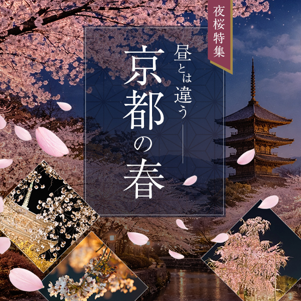 京都の夜桜のバナー