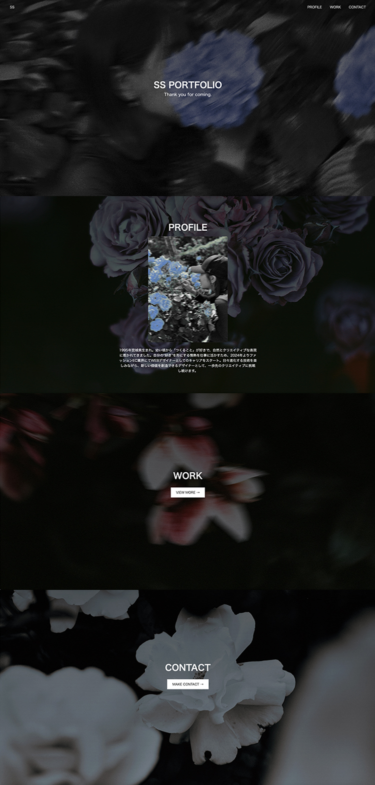 ポートフォリオ PC版